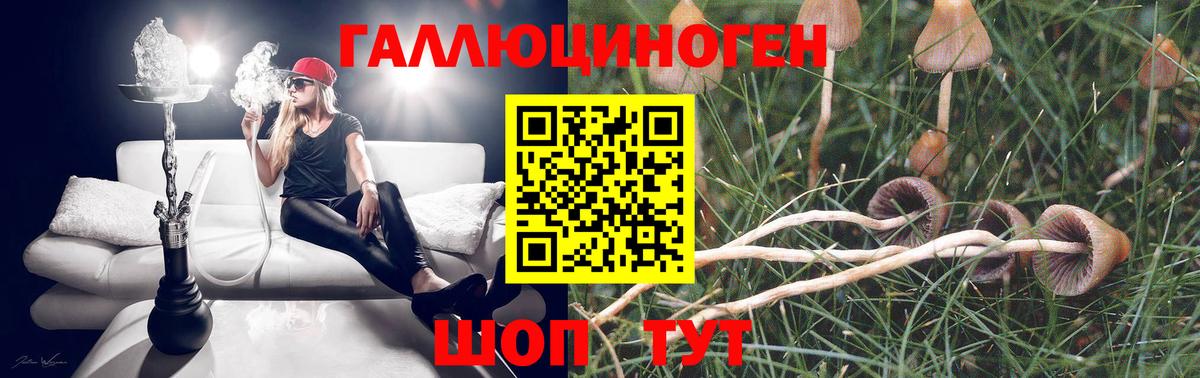 Галлюциногенные грибы MAGIC MUSHROOMS  Вход с VPN  Заречный 